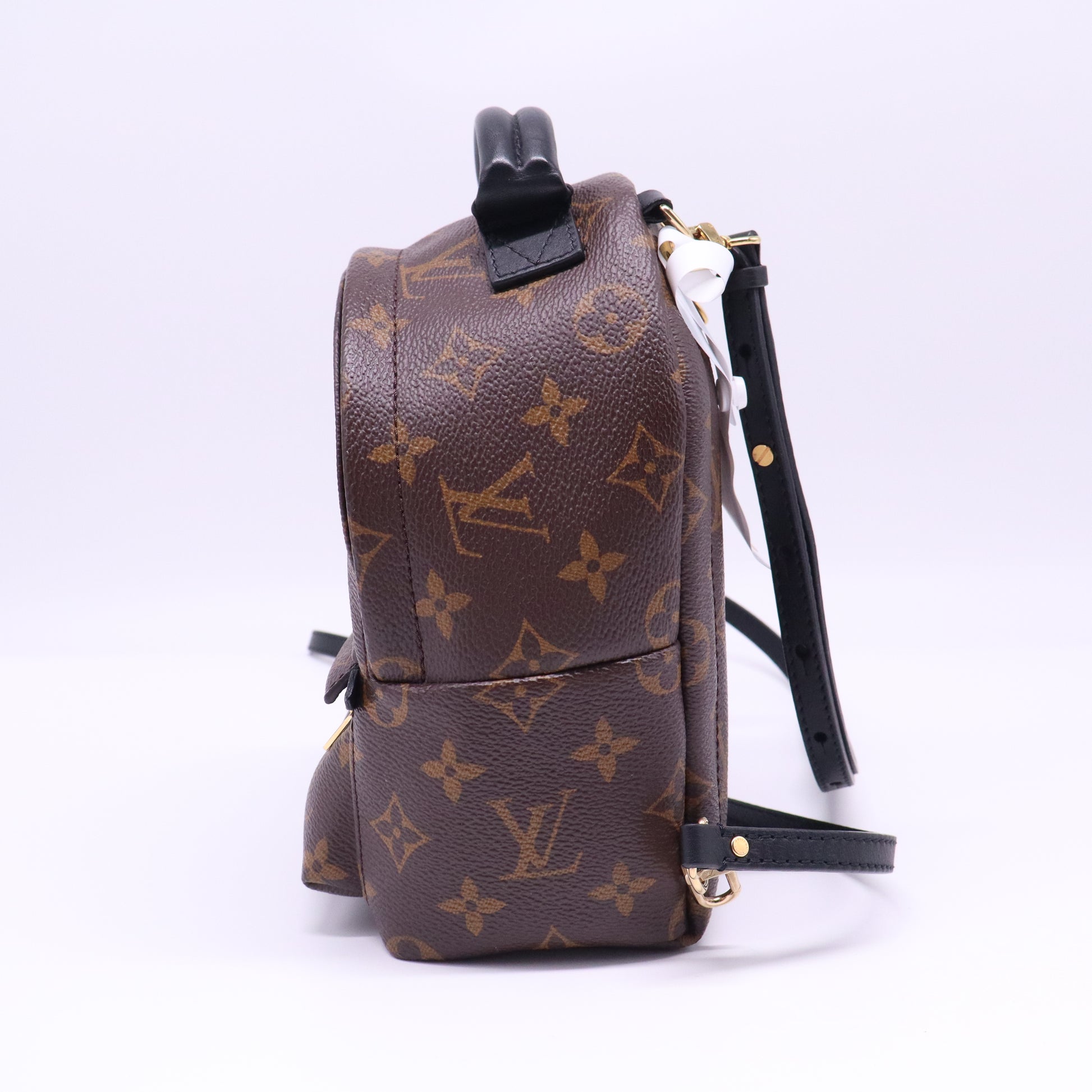 Palm Springs Backpack Monogram Canvas Mini  B21817