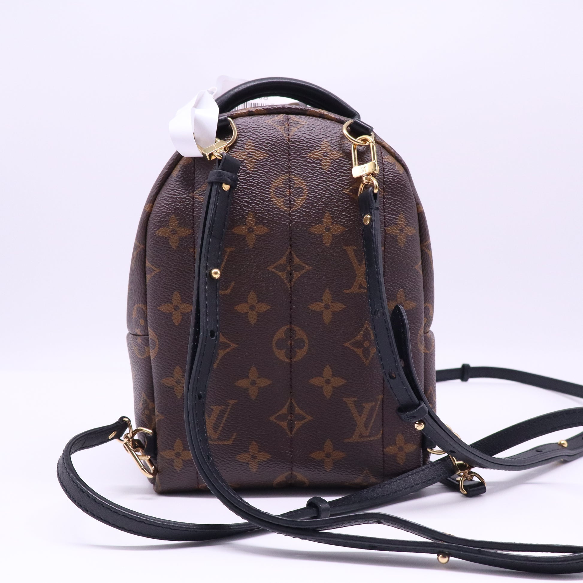 Palm Springs Backpack Monogram Canvas Mini  B21817