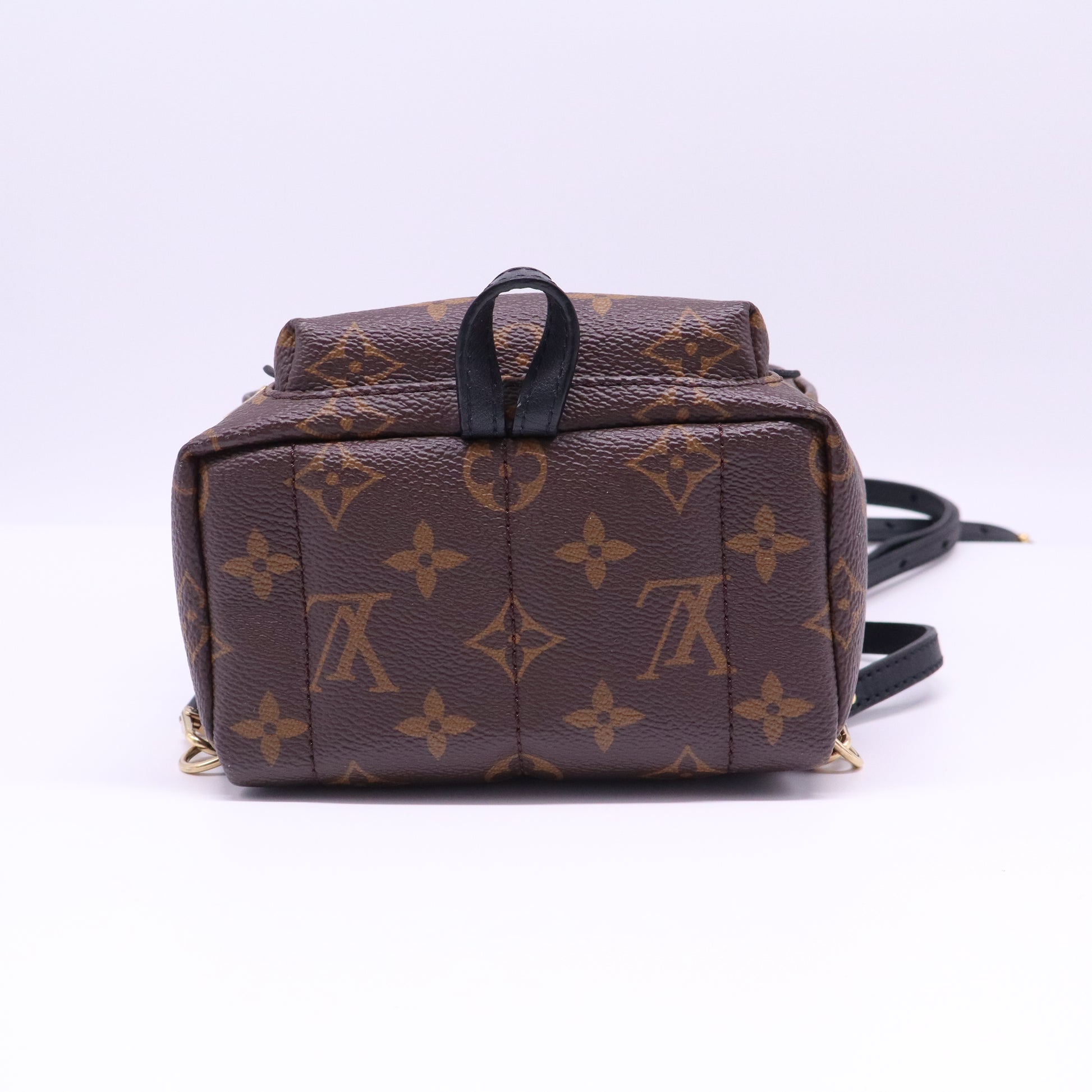 Palm Springs Backpack Monogram Canvas Mini  B21817