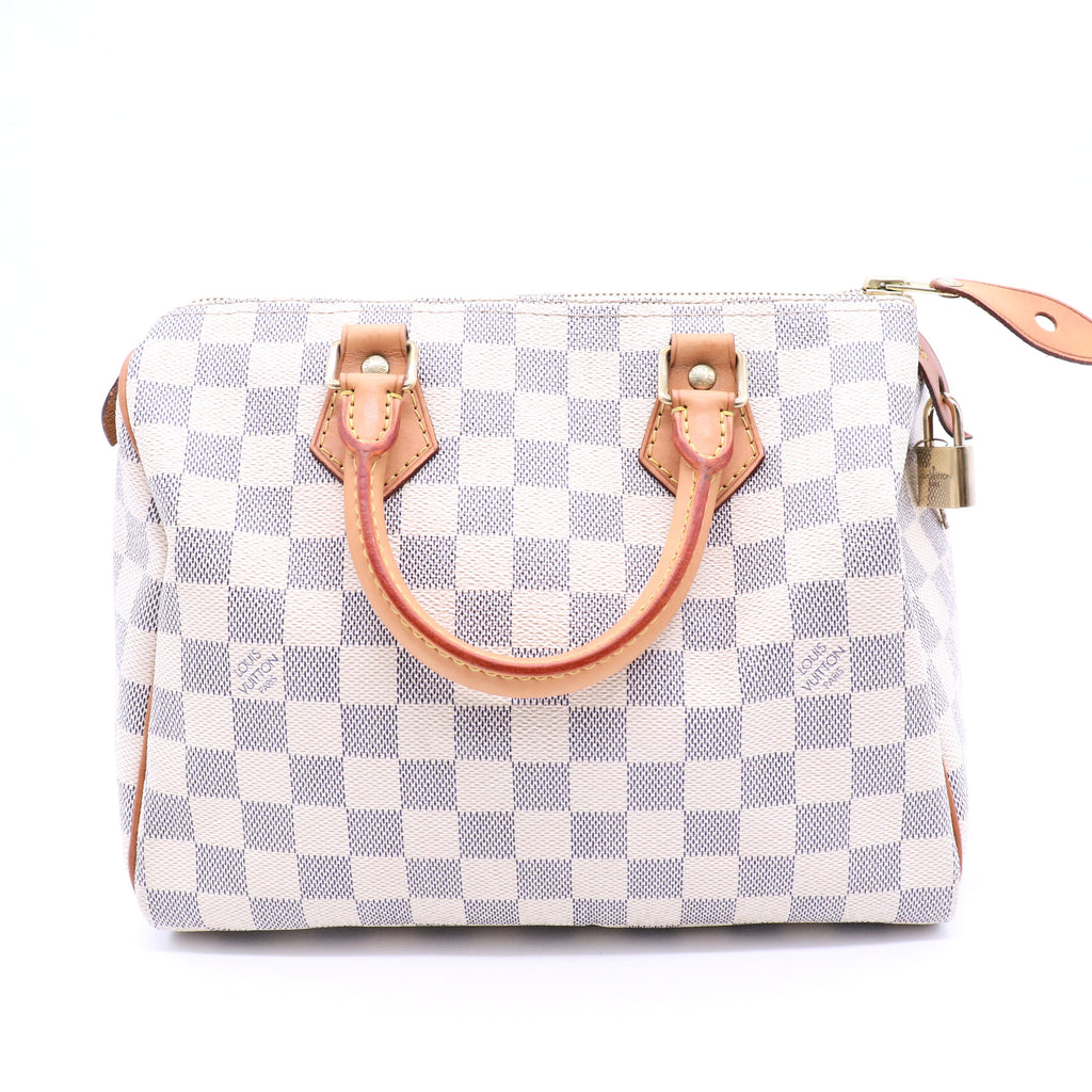 Speedy Handbag Damier 25