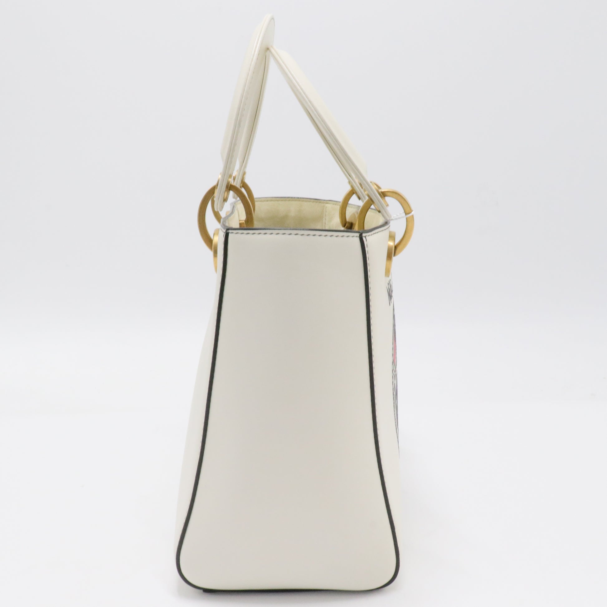 Lady Dior Chain Bag Limited Edition Niki de Saint Phalle Printed Leather Mini