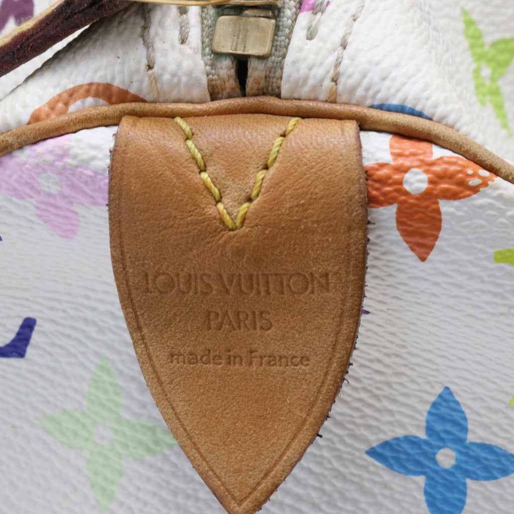 Speedy Handbag Monogram Multicolor 30