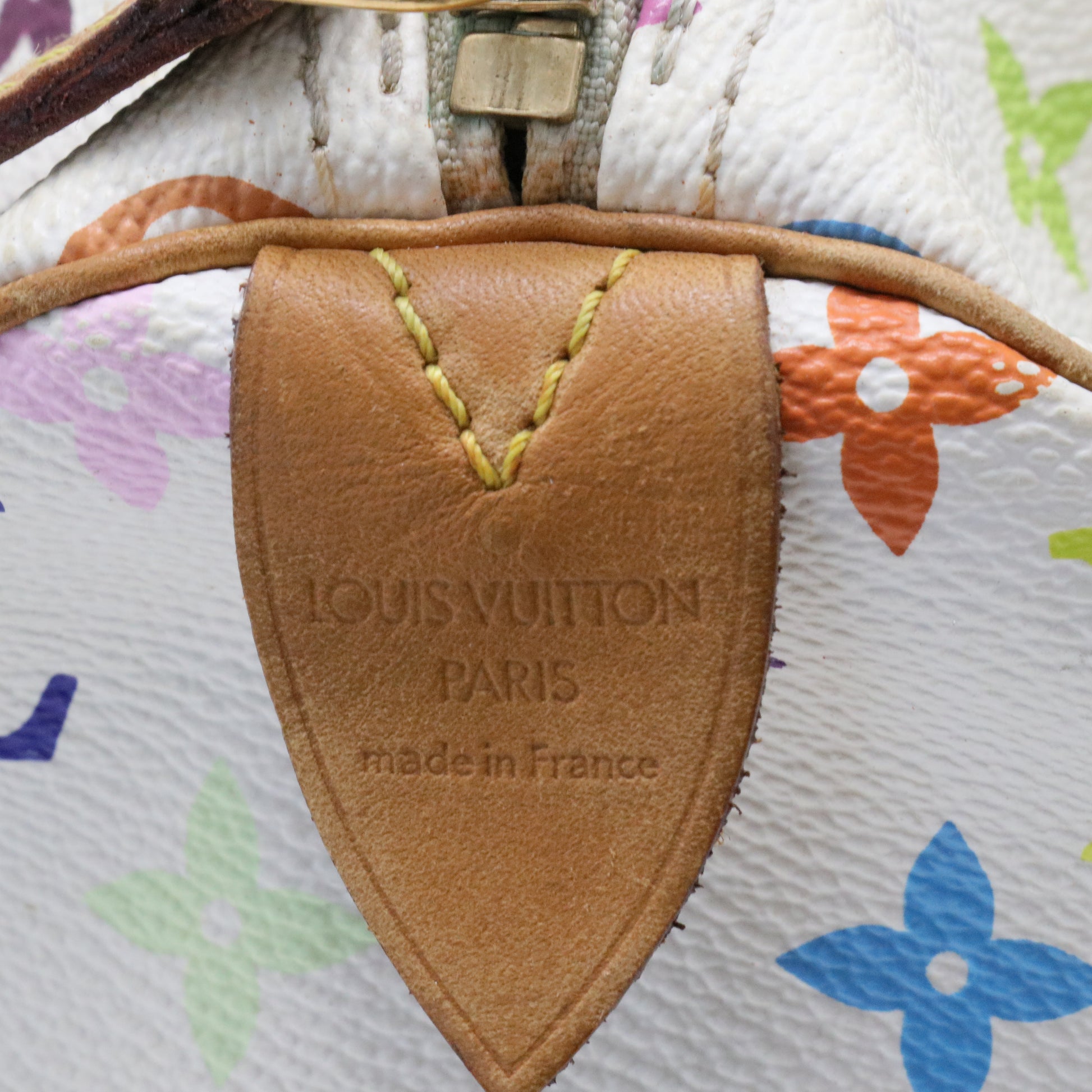 Speedy Handbag Monogram Multicolor 30