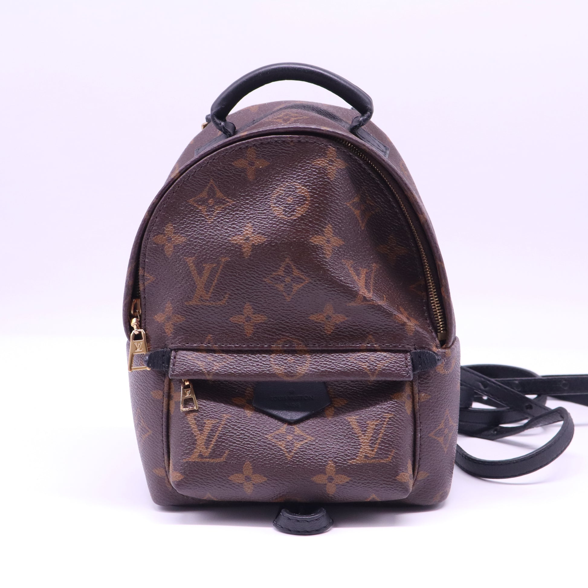 Palm Springs Backpack Monogram Canvas Mini