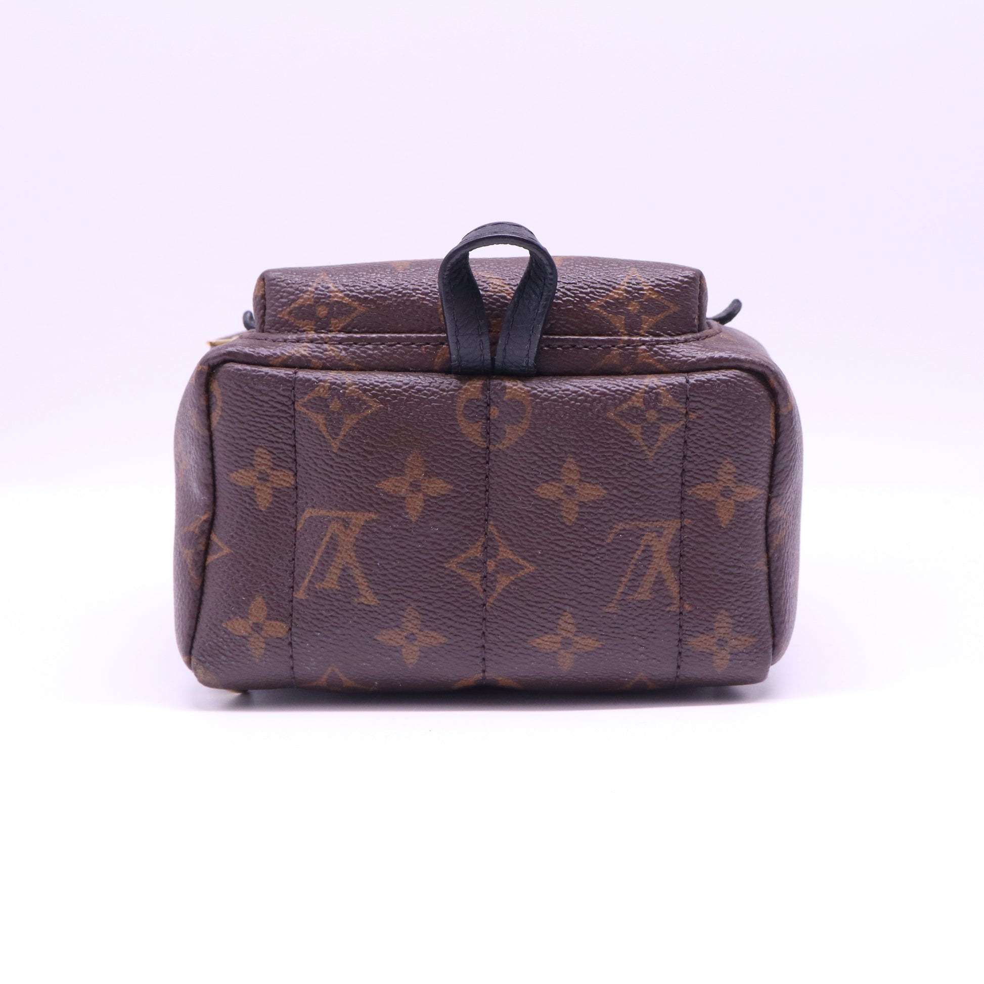 Palm Springs Backpack Monogram Canvas Mini