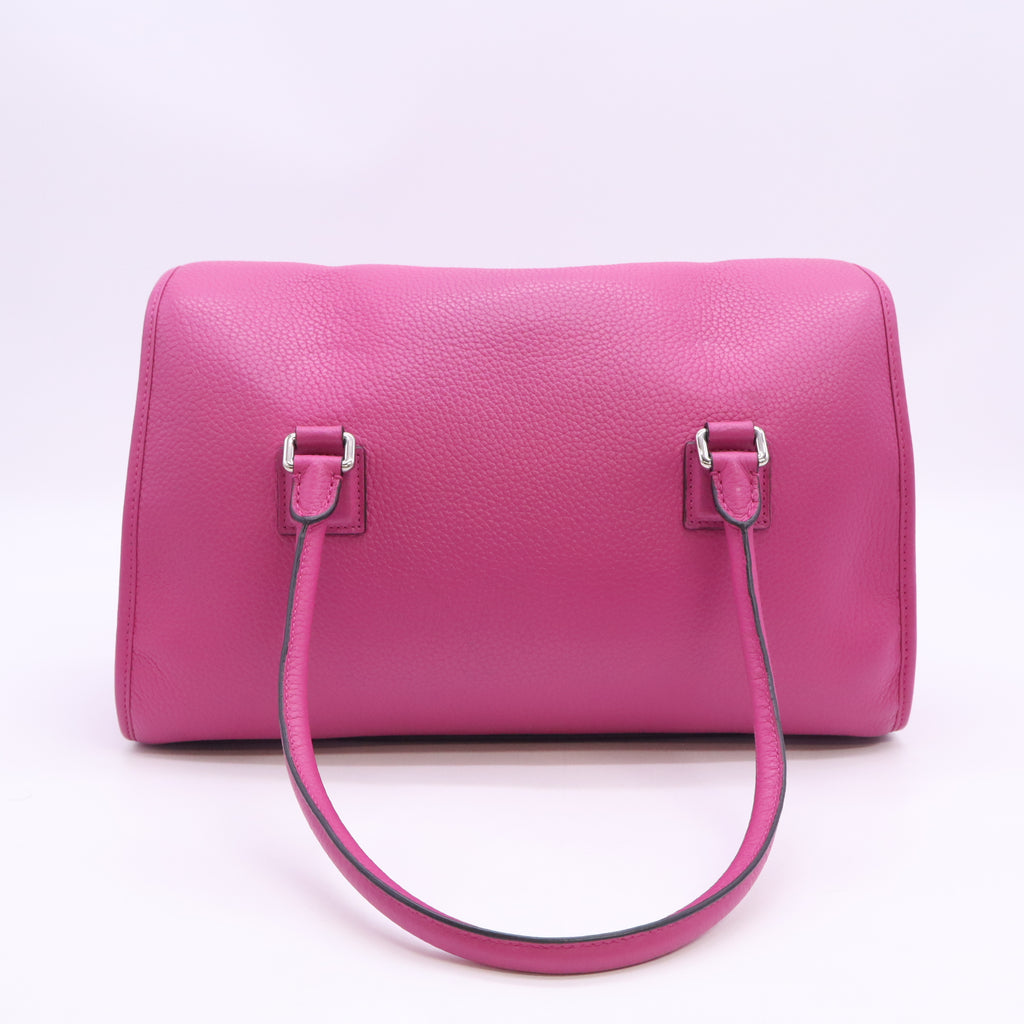 Loewe Alamo 36 Handbag B24655