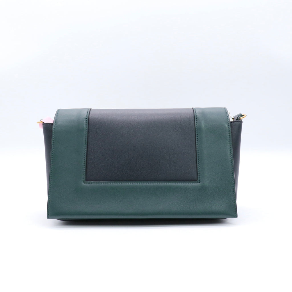 Frame Medium Bag in Green and Black Leather twins