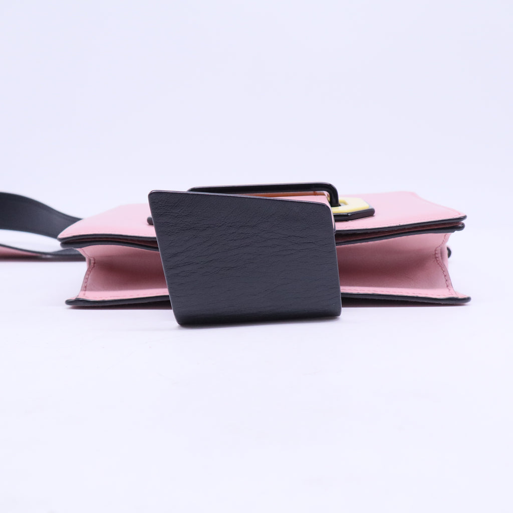 Plex Ribbon Shoulder Bag City Calfskin Small B20931