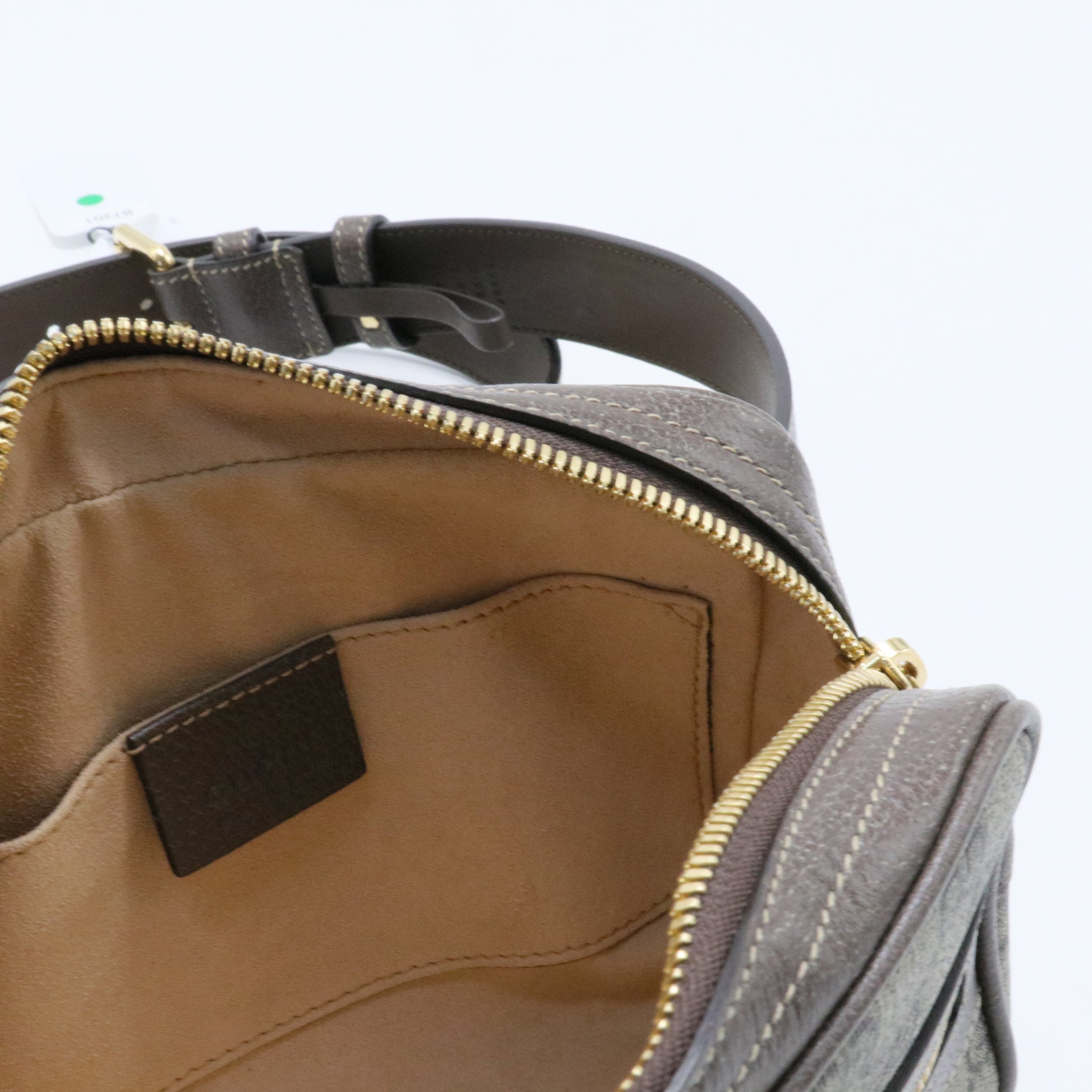 Beige Mini Ophidia GG Printed Camera Bag
