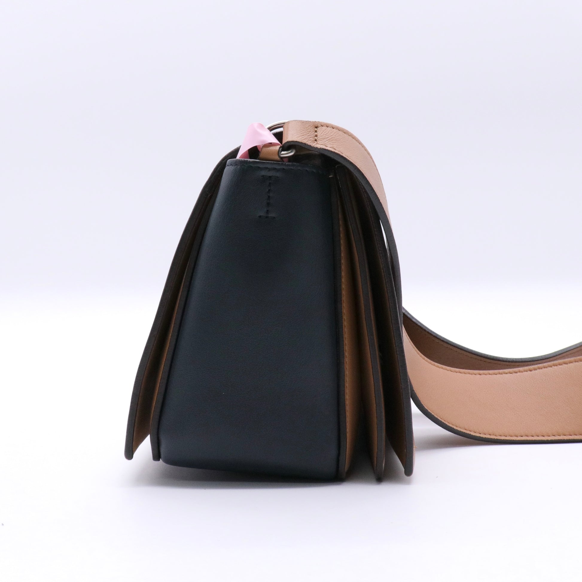 Shiny Smooth Calfskin Medium Frame Shoulder Bag twins