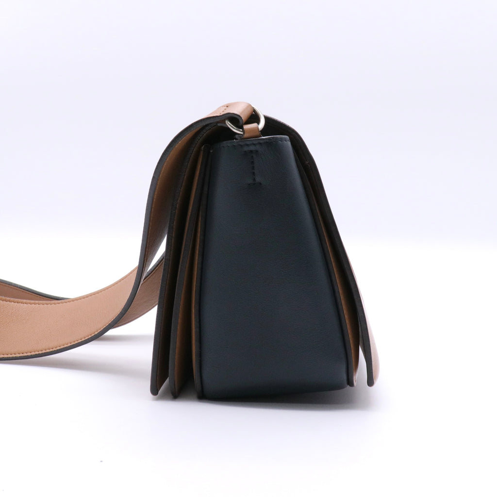 Shiny Smooth Calfskin Medium Frame Shoulder Bag twins