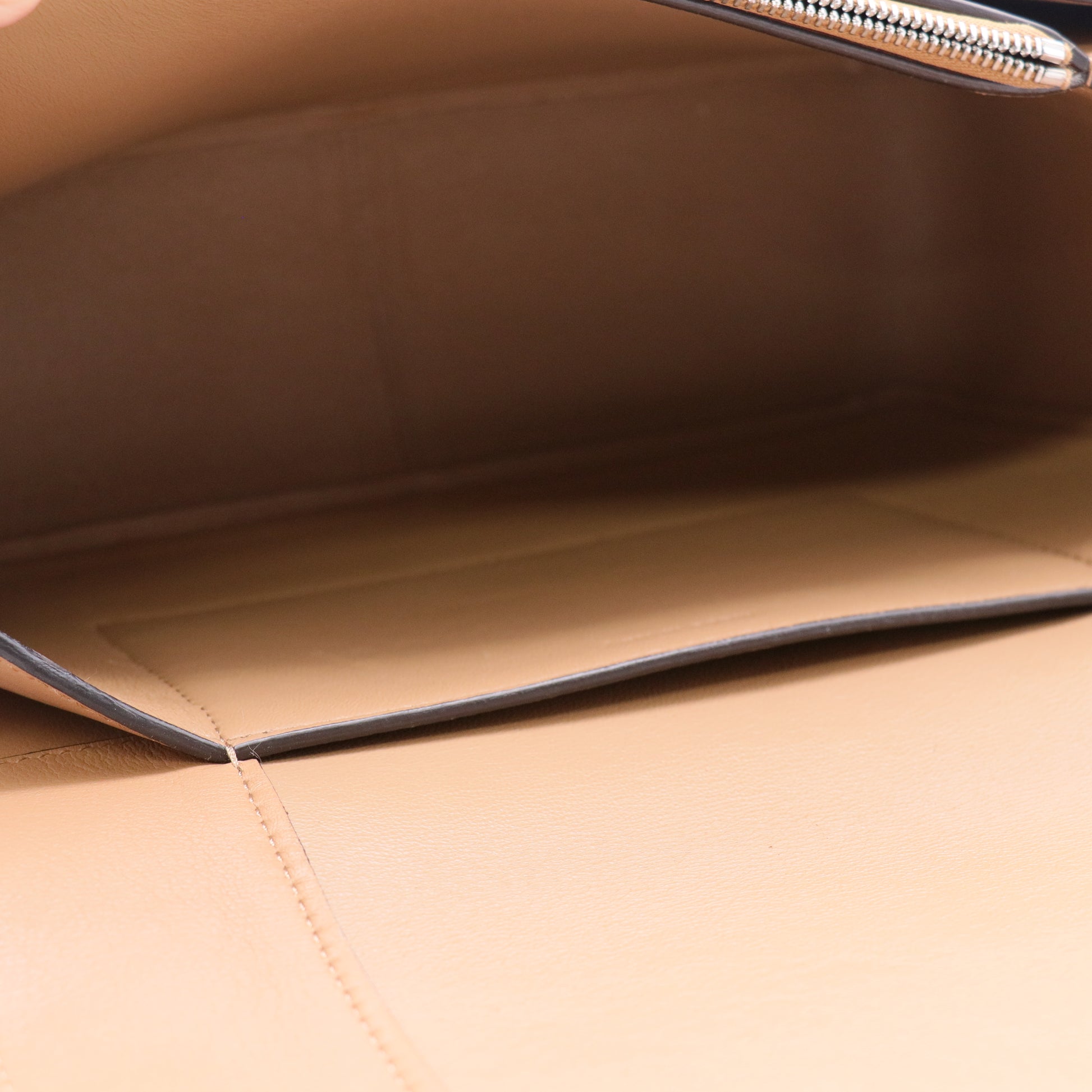 Shiny Smooth Calfskin Medium Frame Shoulder Bag twins