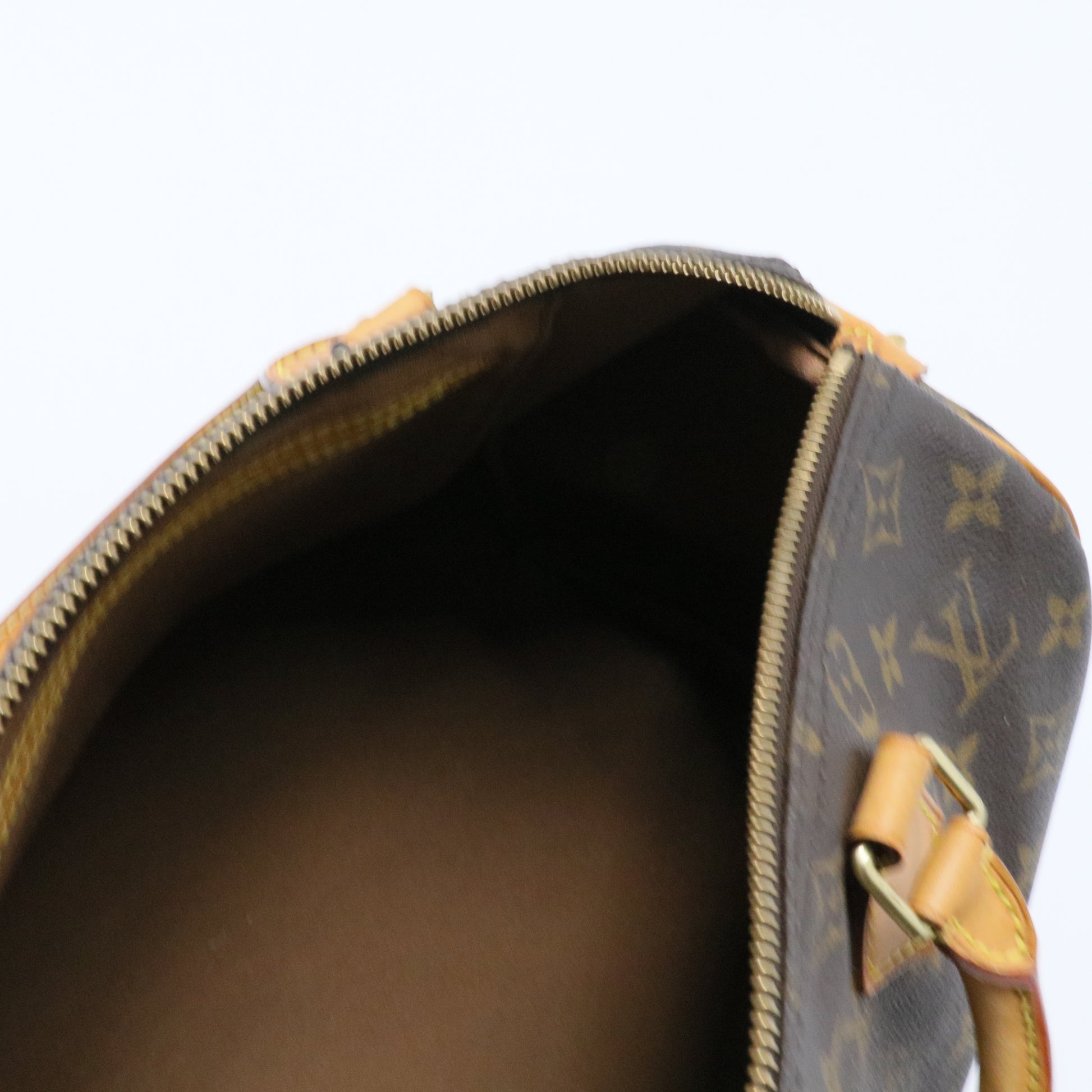 Speedy Handbag Monogram Canvas 30