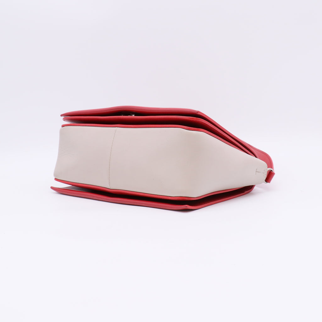 Celine Frame Shoulder Bag Leather Medium twins LDJ4864