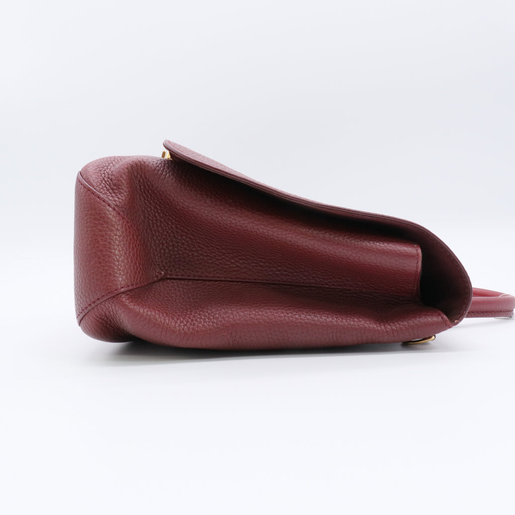 Taurillon Volta Grenat  twins