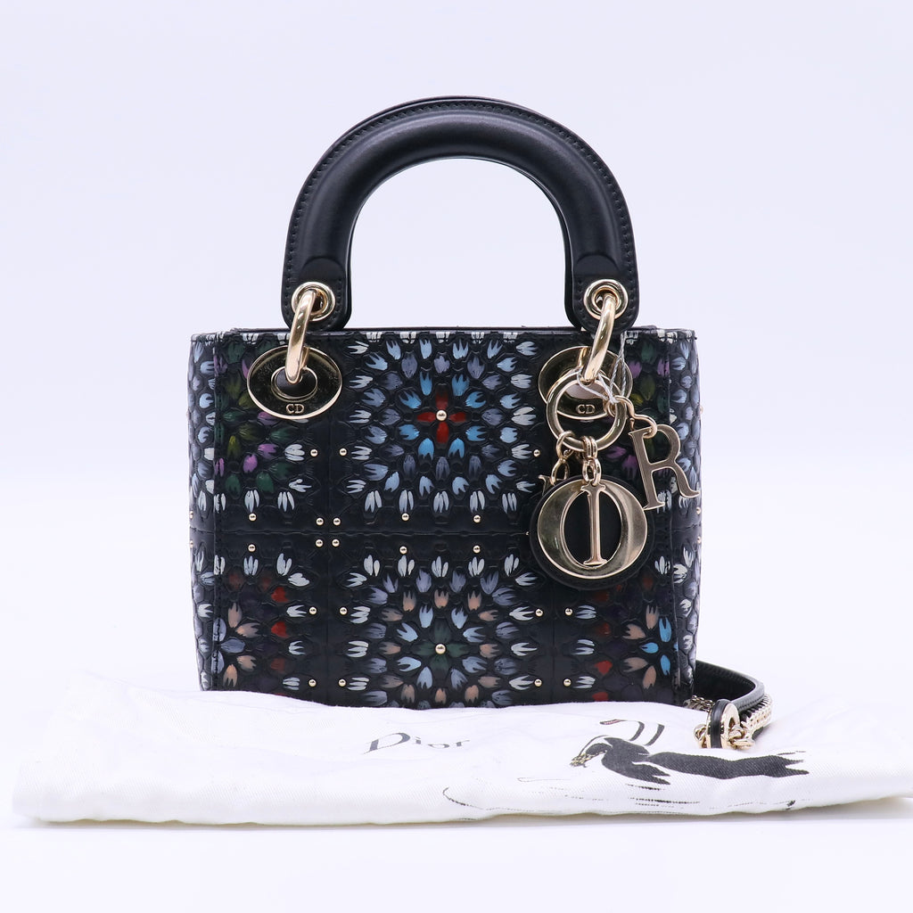 Lady Dior Bag Limited Edition Embellished Leather Twins LDJ4031