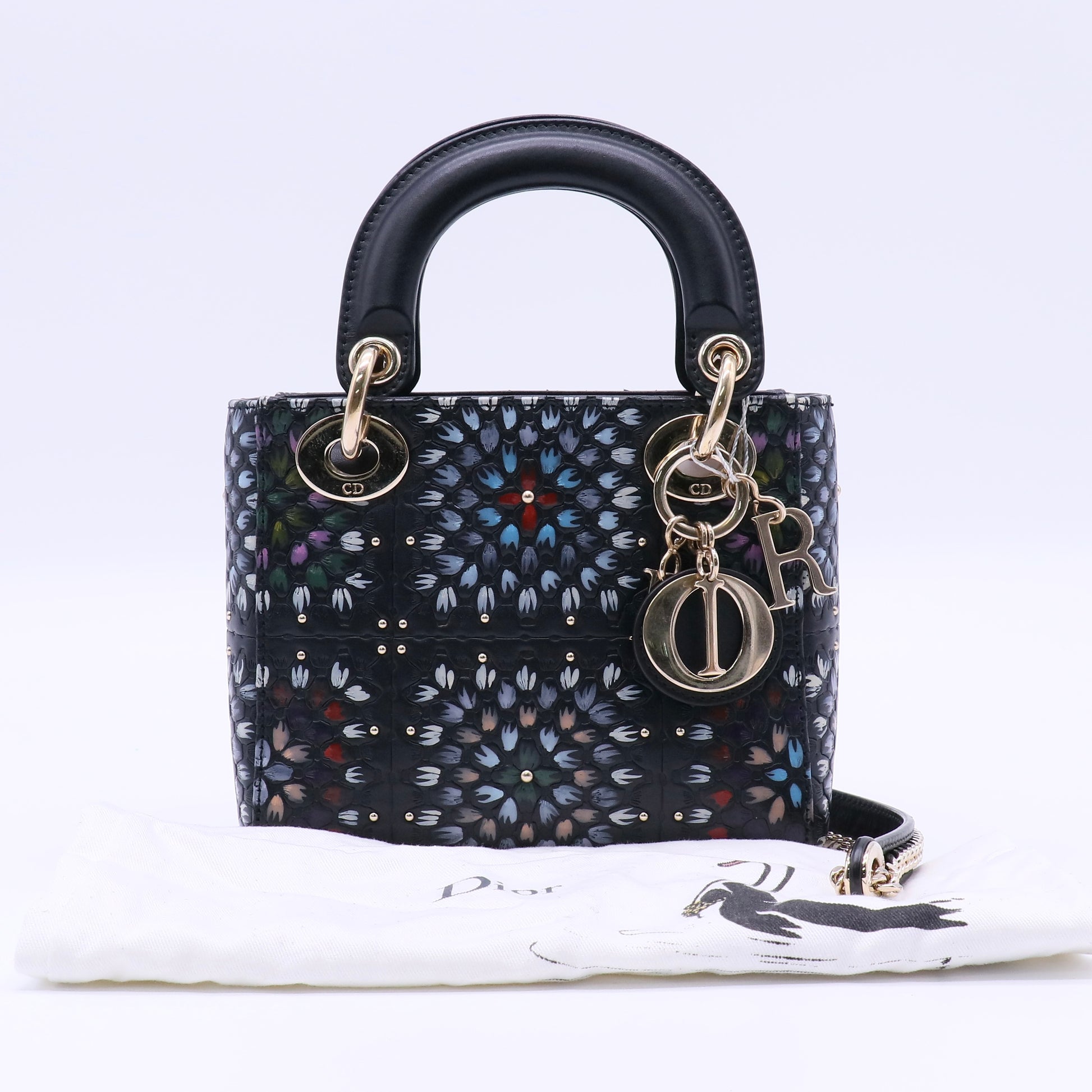 Lady Dior Bag Limited Edition Embellished Leather Twins LDJ4031