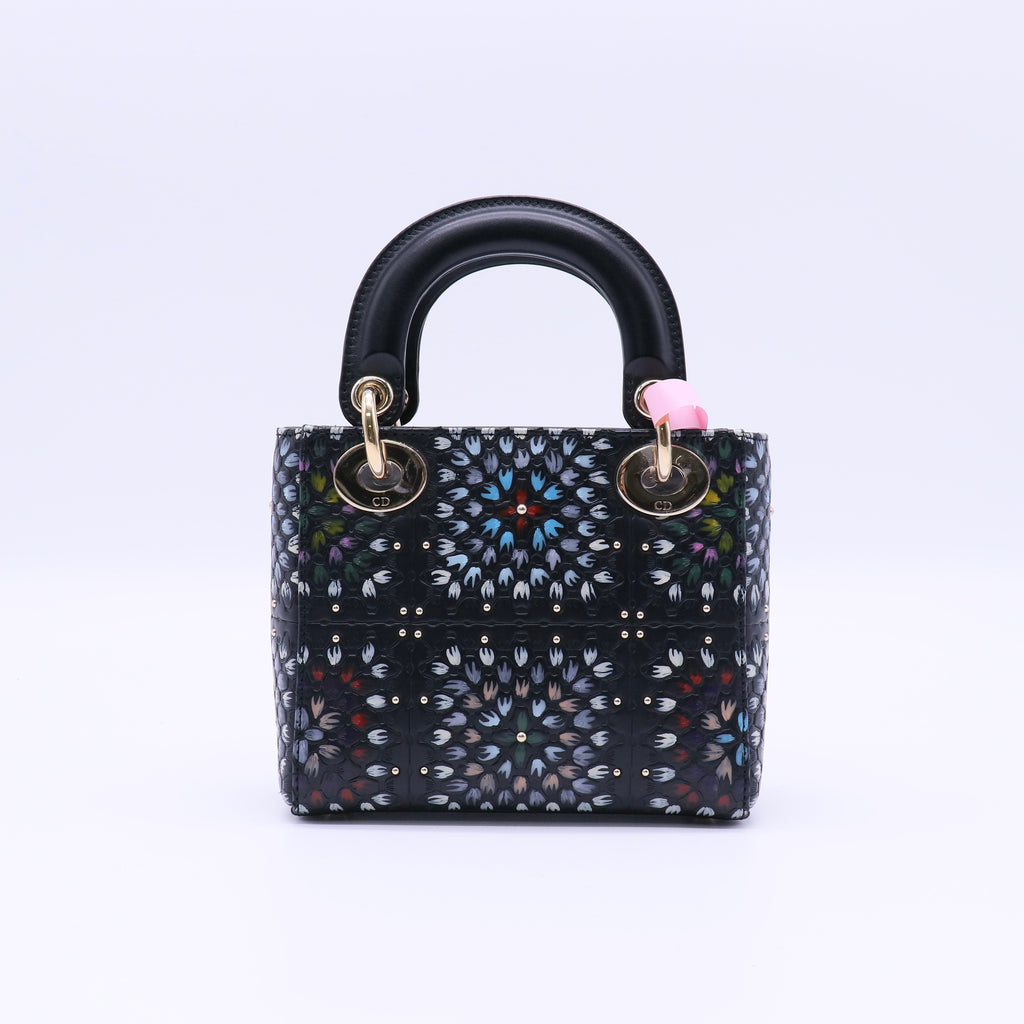 Lady Dior Bag Limited Edition Embellished Leather Twins LDJ4031