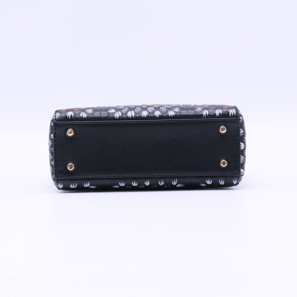 Lady Dior Bag Limited Edition Embellished Leather Twins LDJ4031