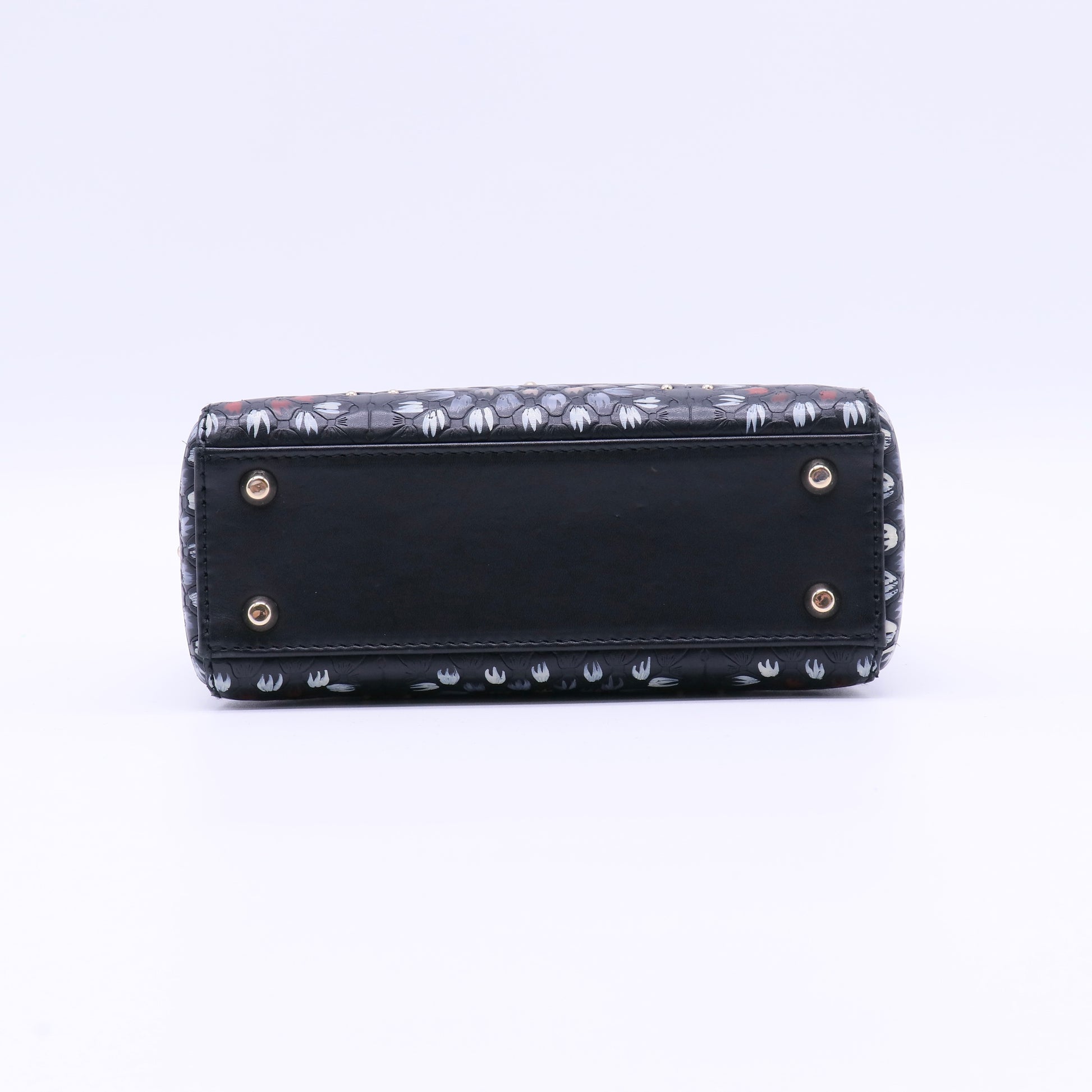Lady Dior Bag Limited Edition Embellished Leather Twins LDJ4031