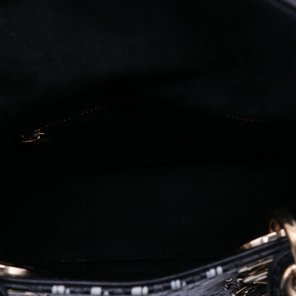 Lady Dior Bag Limited Edition Embellished Leather Twins LDJ4031