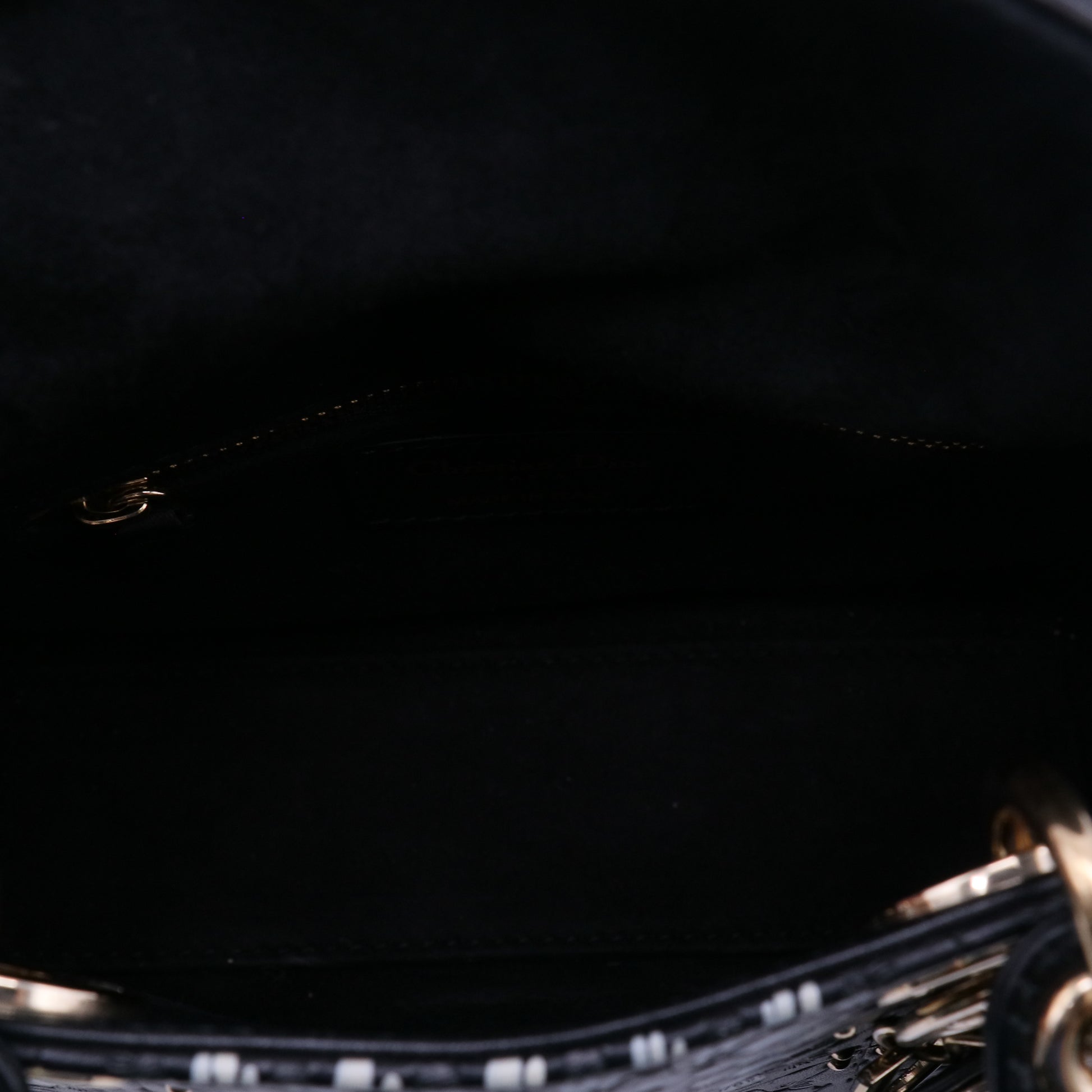 Lady Dior Bag Limited Edition Embellished Leather Twins LDJ4031