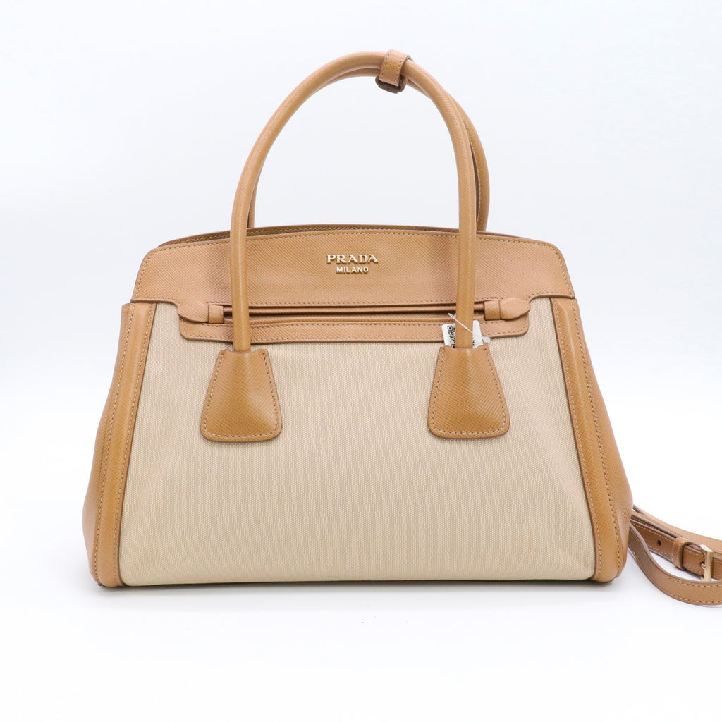 Cuir Frame Convertible Tote Canvas and Saffiano Leather Small twins