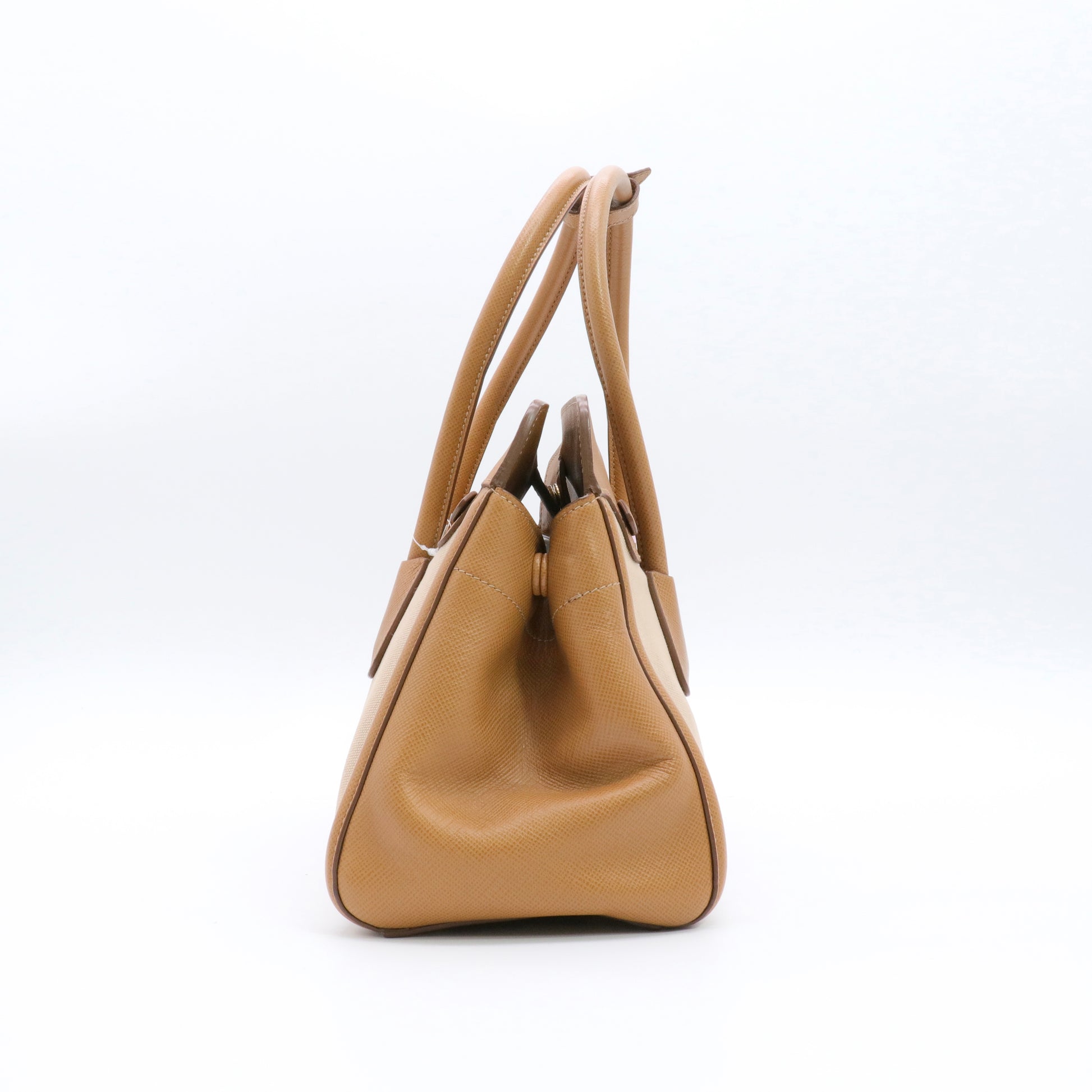 Cuir Frame Convertible Tote Canvas and Saffiano Leather Small twins