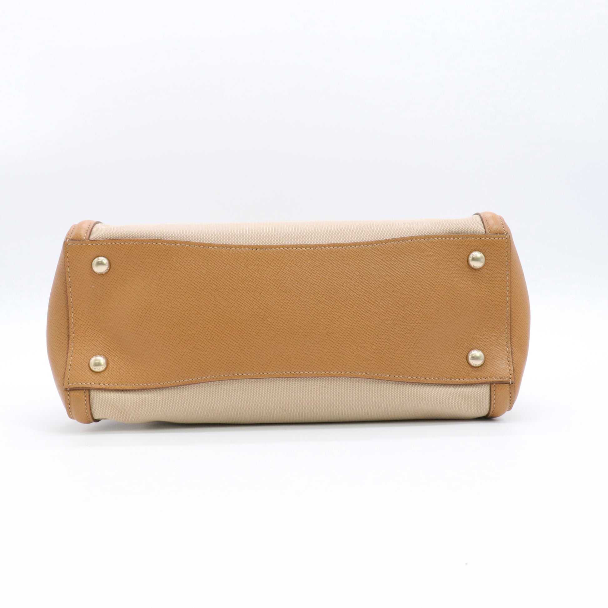 Cuir Frame Convertible Tote Canvas and Saffiano Leather Small twins