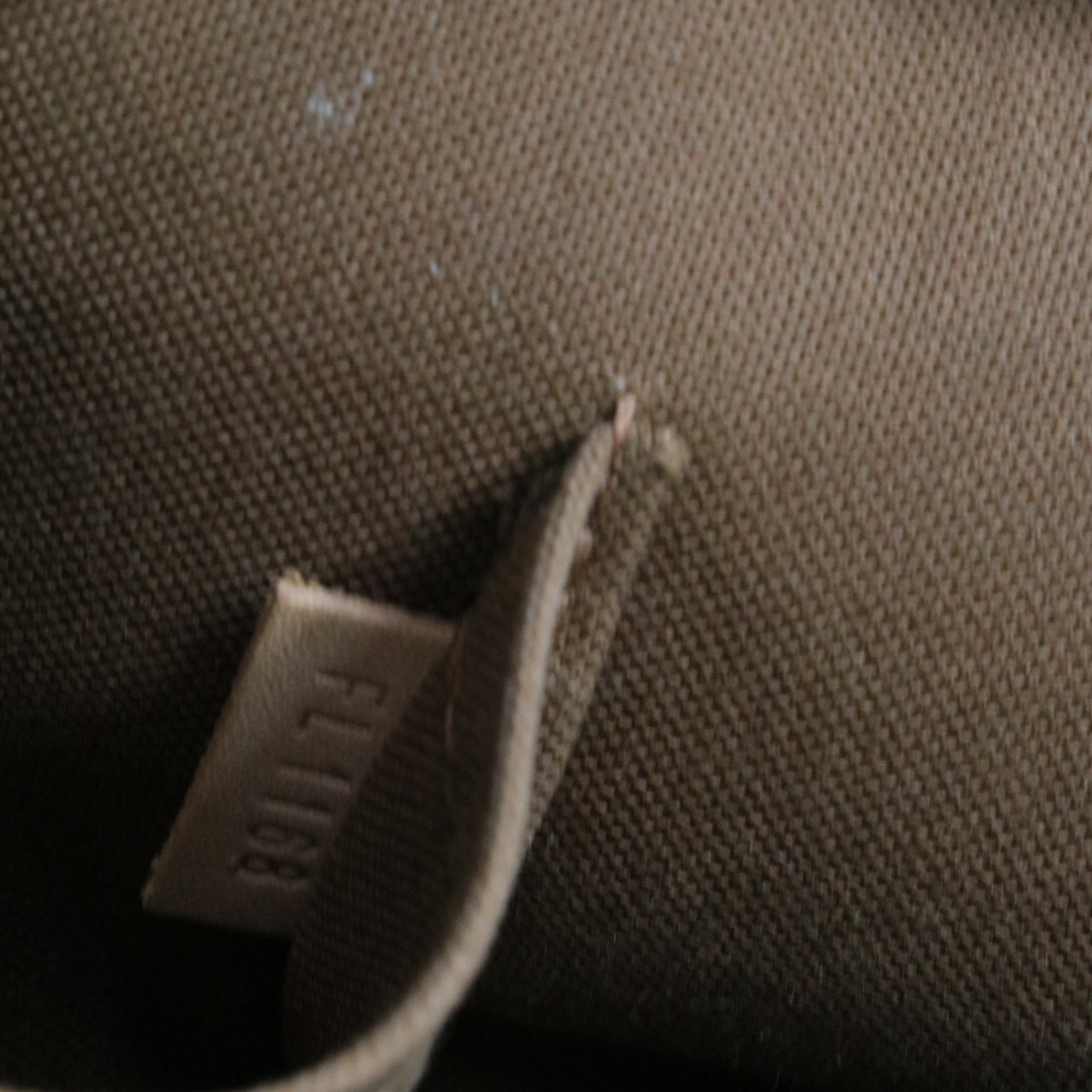 Alma Handbag Monogram Canvas BB