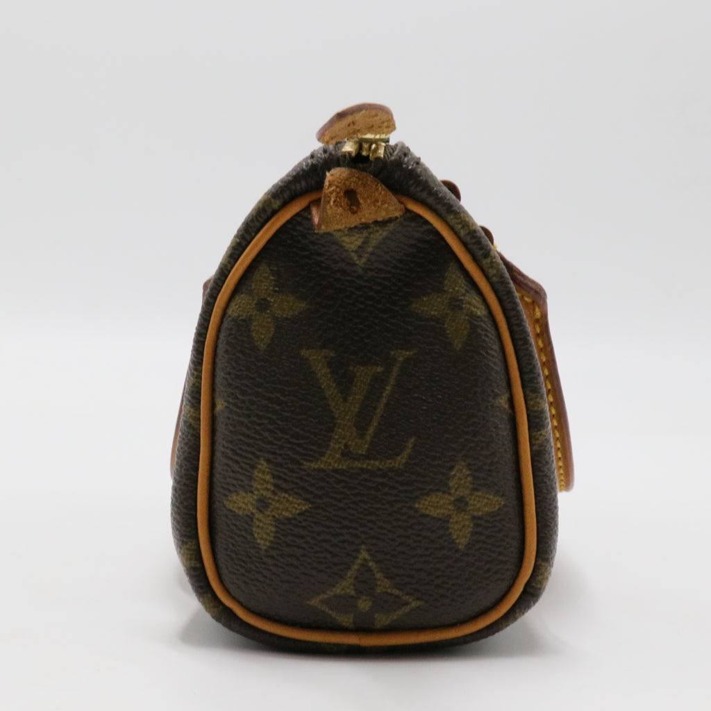 Speedy NM Bag Monogram Canvas Nano