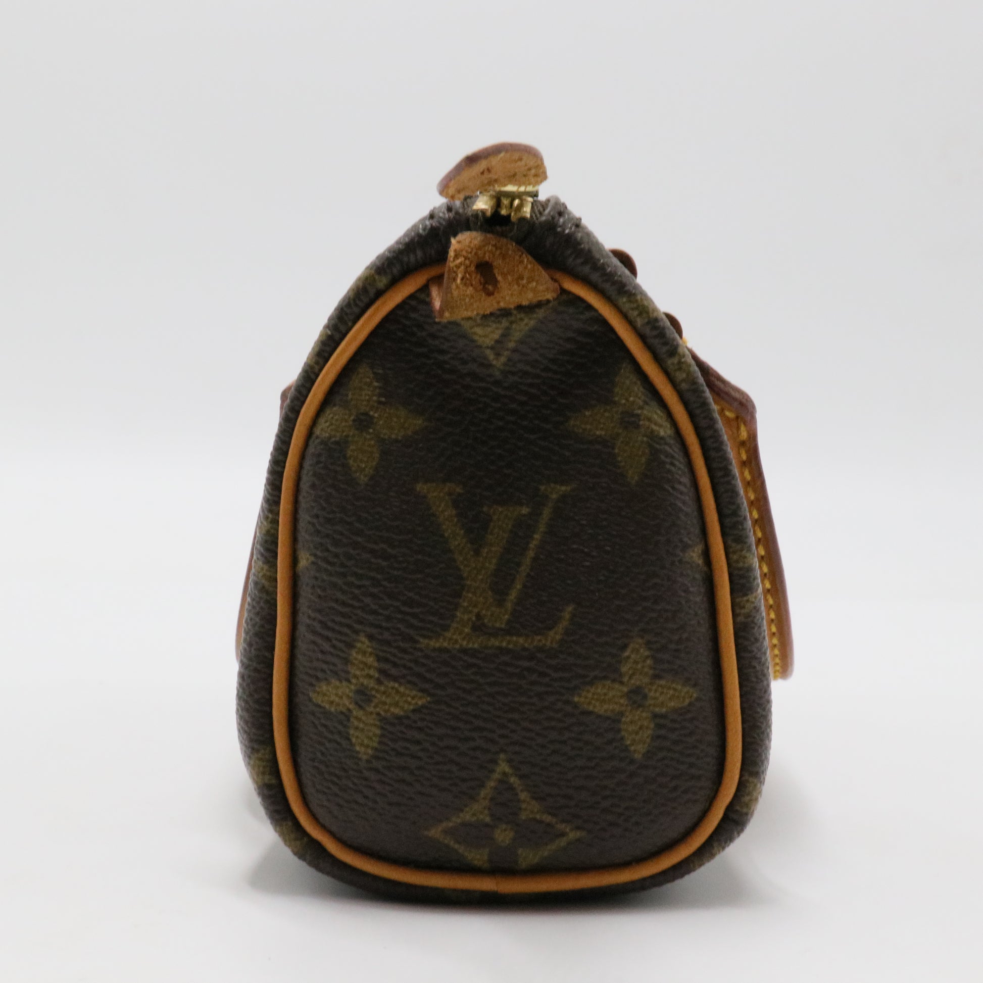 Speedy NM Bag Monogram Canvas Nano