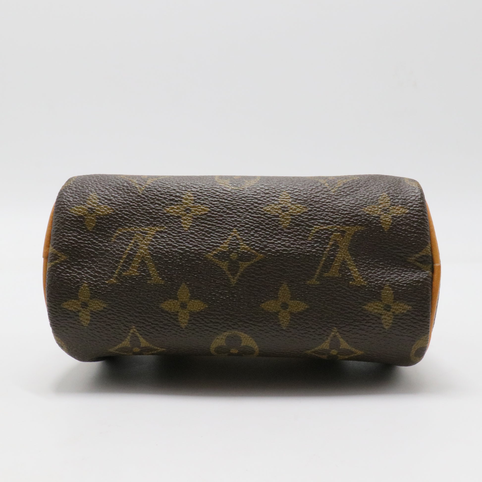 Speedy NM Bag Monogram Canvas Nano