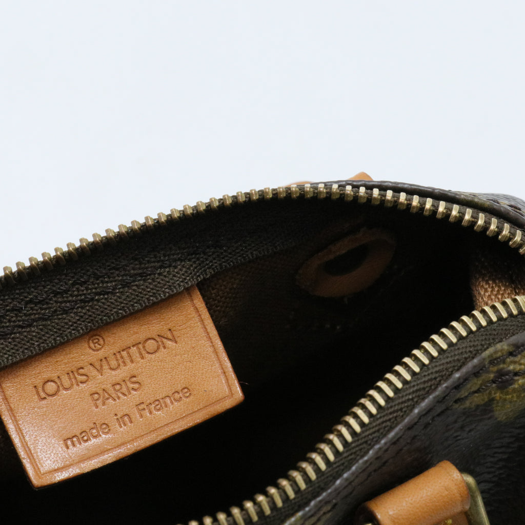 Speedy NM Bag Monogram Canvas Nano