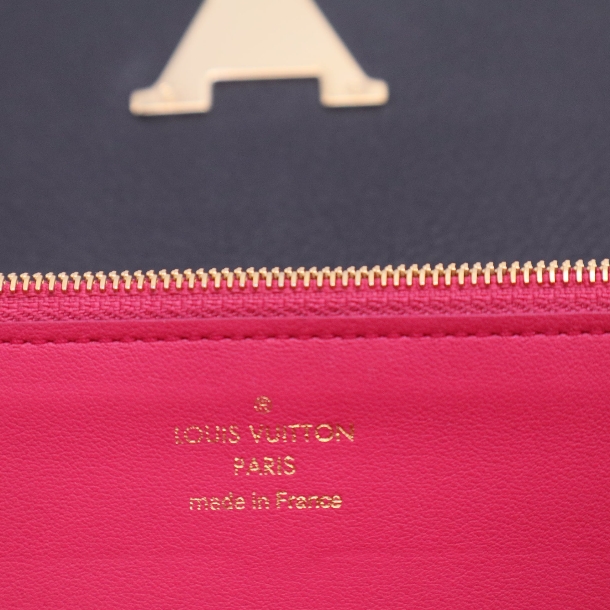 Louis Vuitton Taurillon Capucines Wallet for Shoptilludrop118