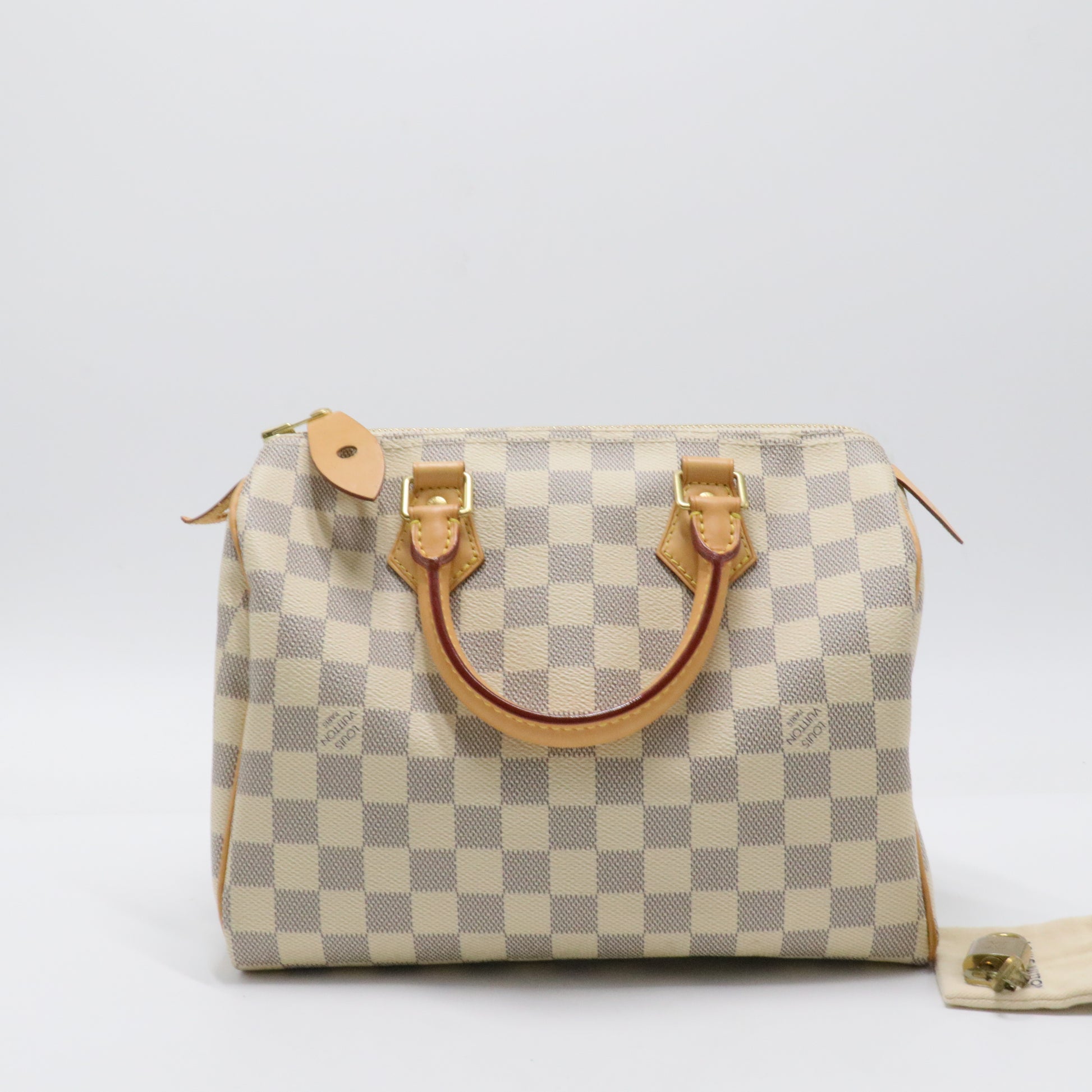 Speedy Handbag Damier 25