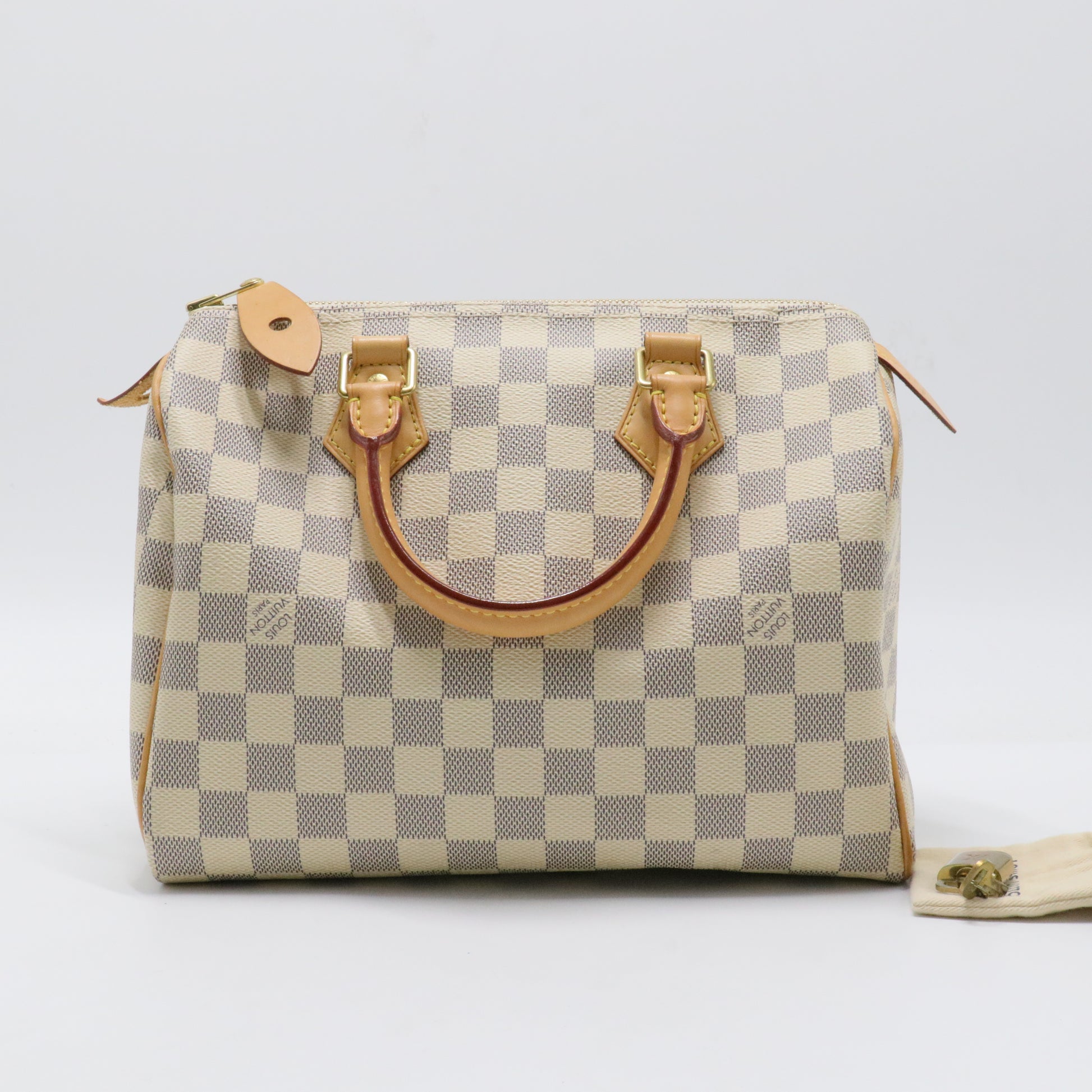 Speedy Handbag Damier 25