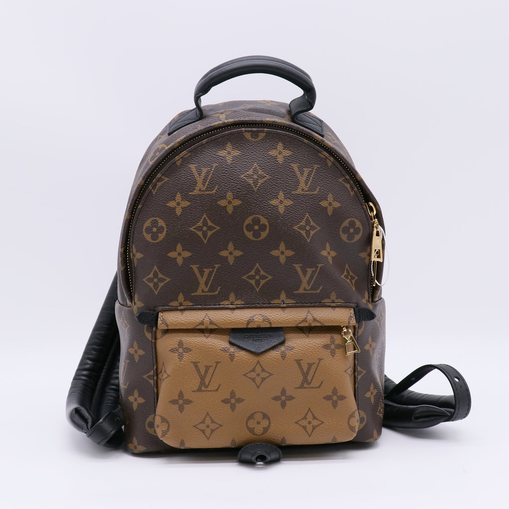 Louis Vuitton Monogram Reverse Palm Springs Backpack PM twins LDZ272