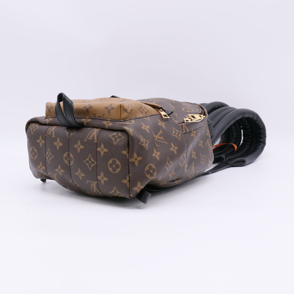 Louis Vuitton Monogram Reverse Palm Springs Backpack PM twins LDZ272