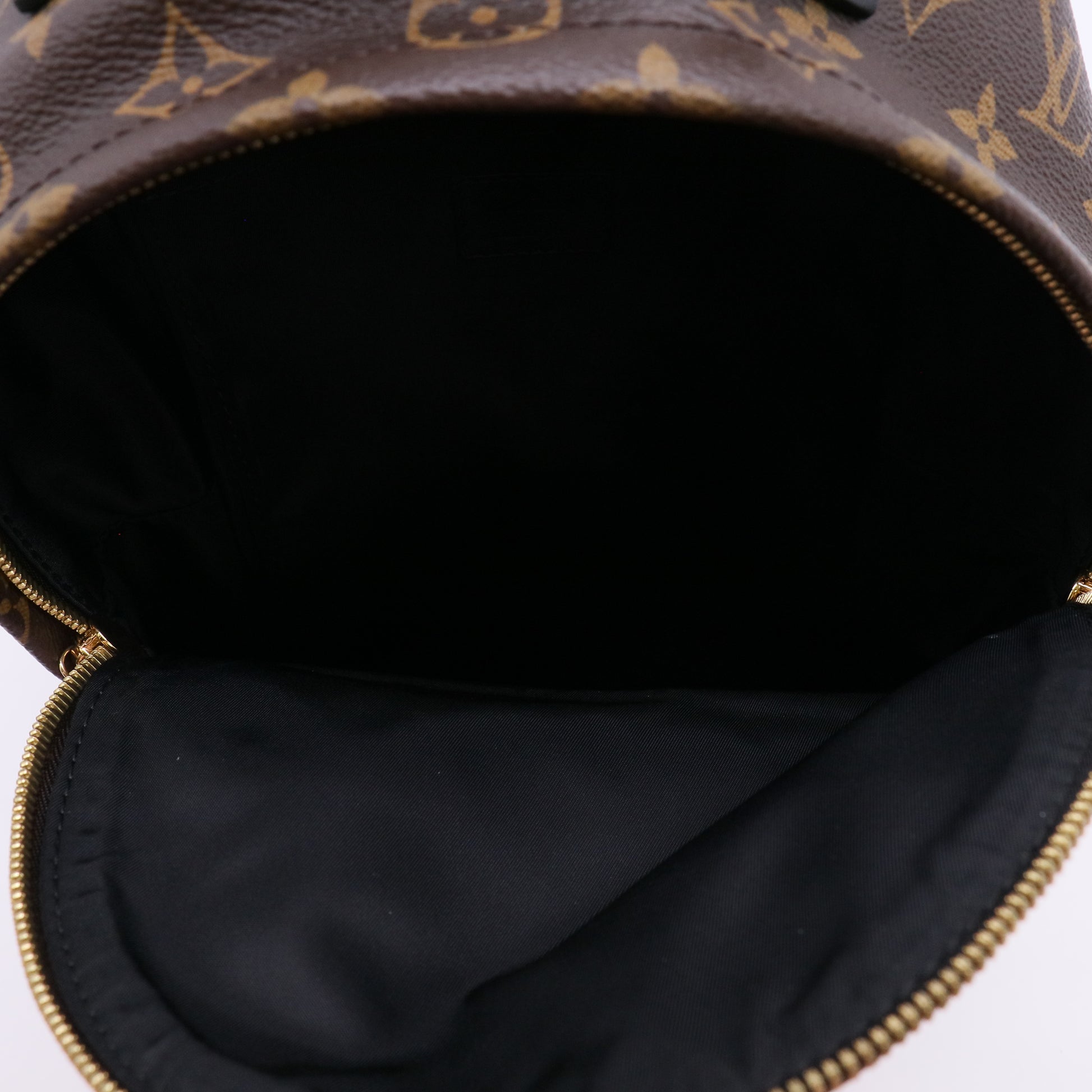 Louis Vuitton Monogram Reverse Palm Springs Backpack PM twins LDZ272