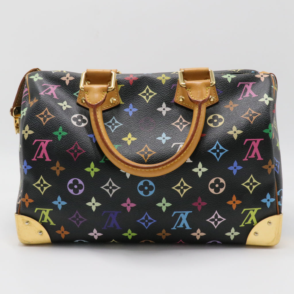 Speedy Handbag Monogram Multicolor 30