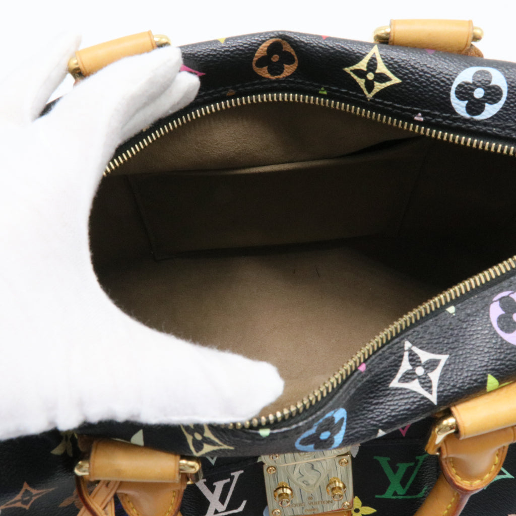 Speedy Handbag Monogram Multicolor 30