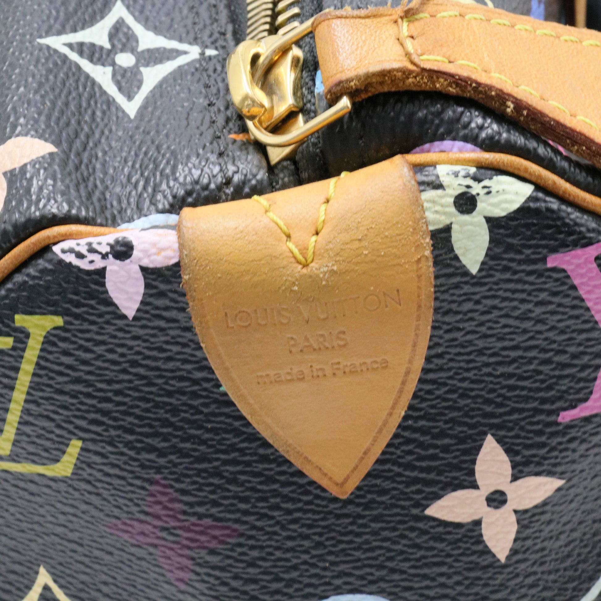 Speedy Handbag Monogram Multicolor 30