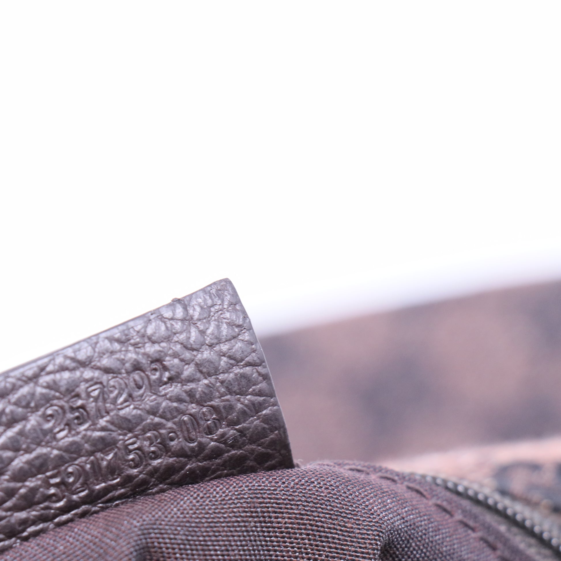 Brown GG Reins Canvas Hobo Bag Dark brown