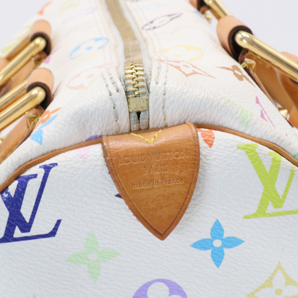 Speedy Handbag Monogram Multicolor 30