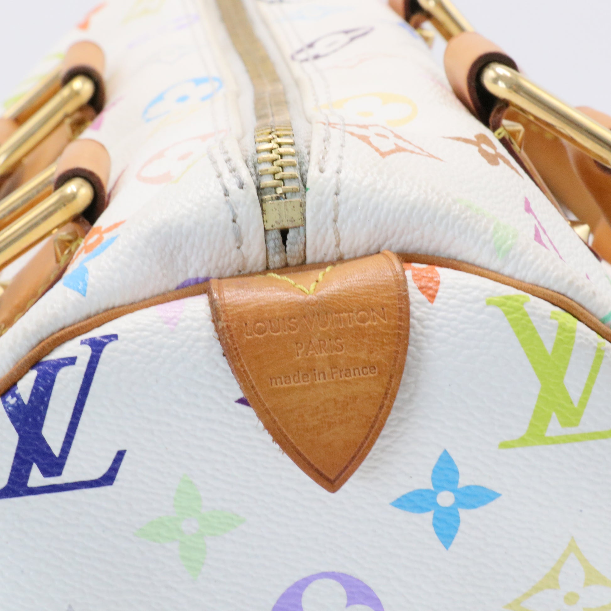 Speedy Handbag Monogram Multicolor 30