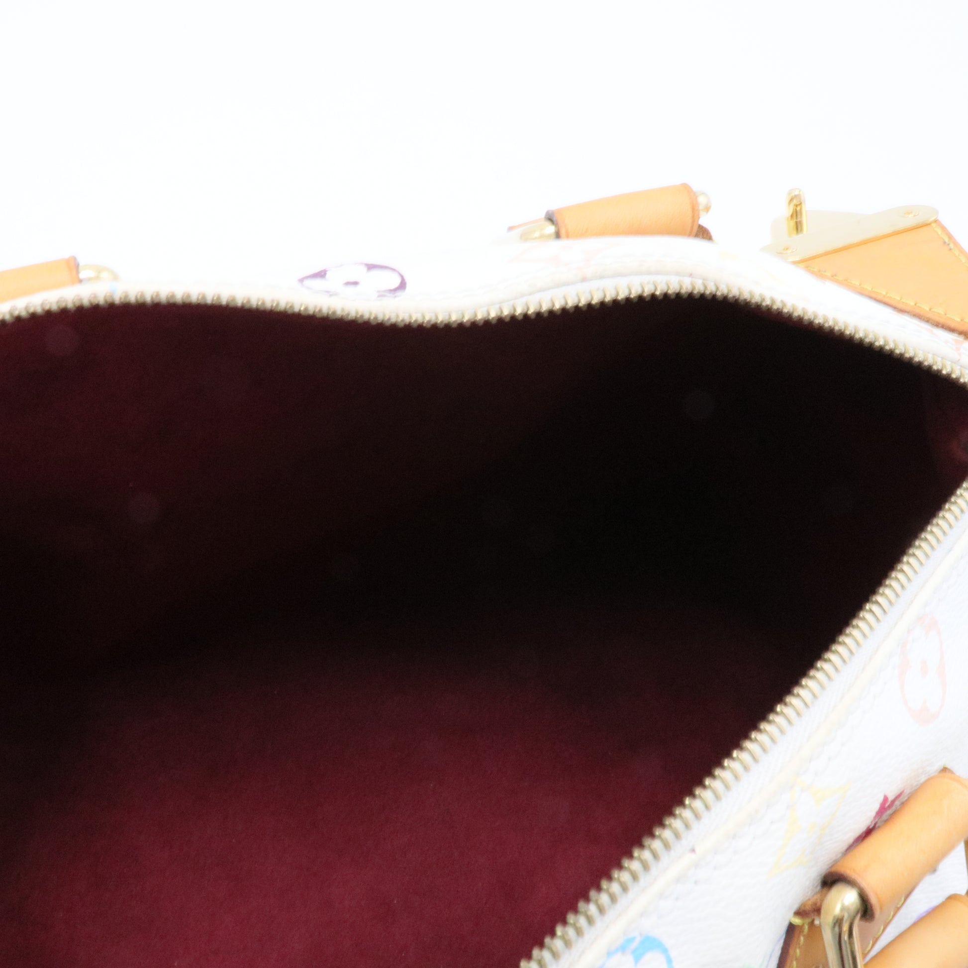 Speedy Handbag Monogram Multicolor 30