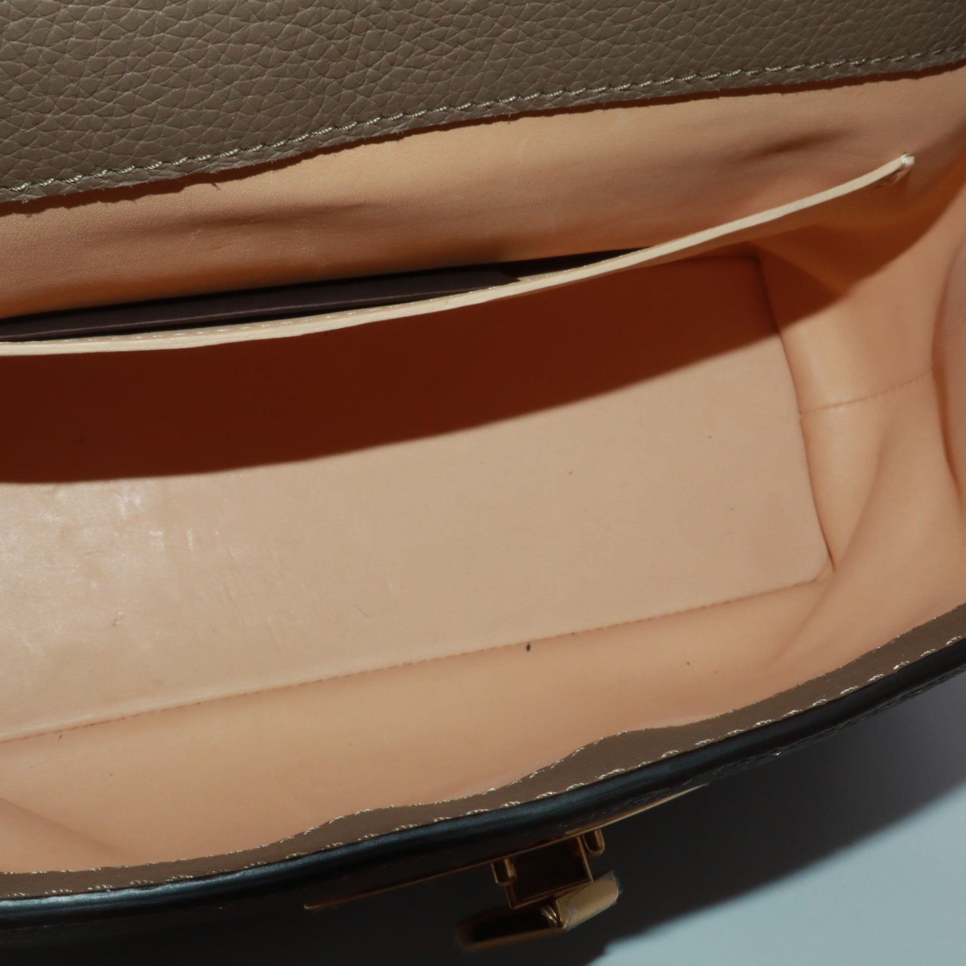 Moynat Gabby PM Taurillon Blush Calfskin Taupe twins LDJ5420