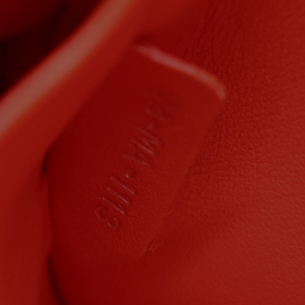 Lady D Dior' Bag in Blue Sky Leather and Gray Python