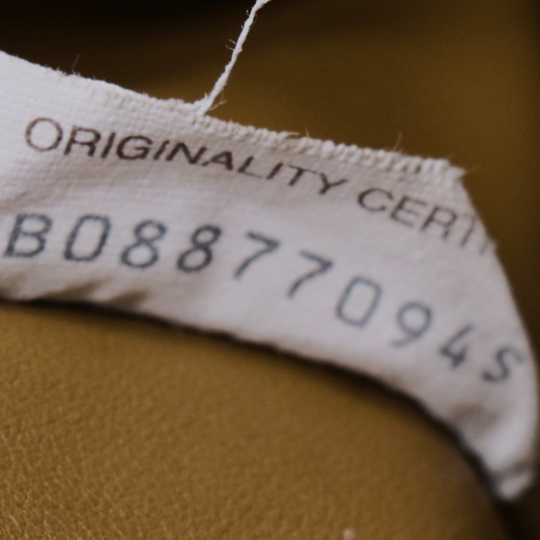 Bottega Veneta Bottega VenetaLeather Chain Pouch twins